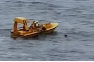 Man jumps into ocean to save daughter