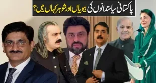 Pakistani politicians wives video