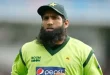 muhammad yousaf cricketer criticize after t20 world cup defeat